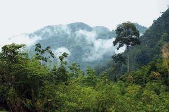 Borneo