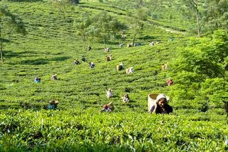 Darjeeling und Sikkim